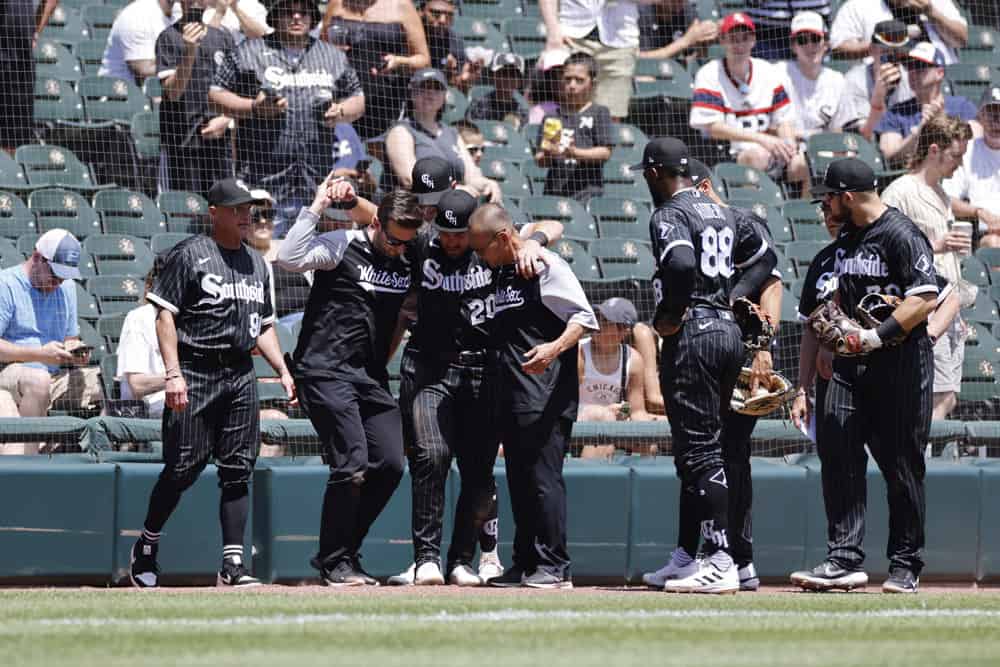 White Sox shortstop Danny Mendick