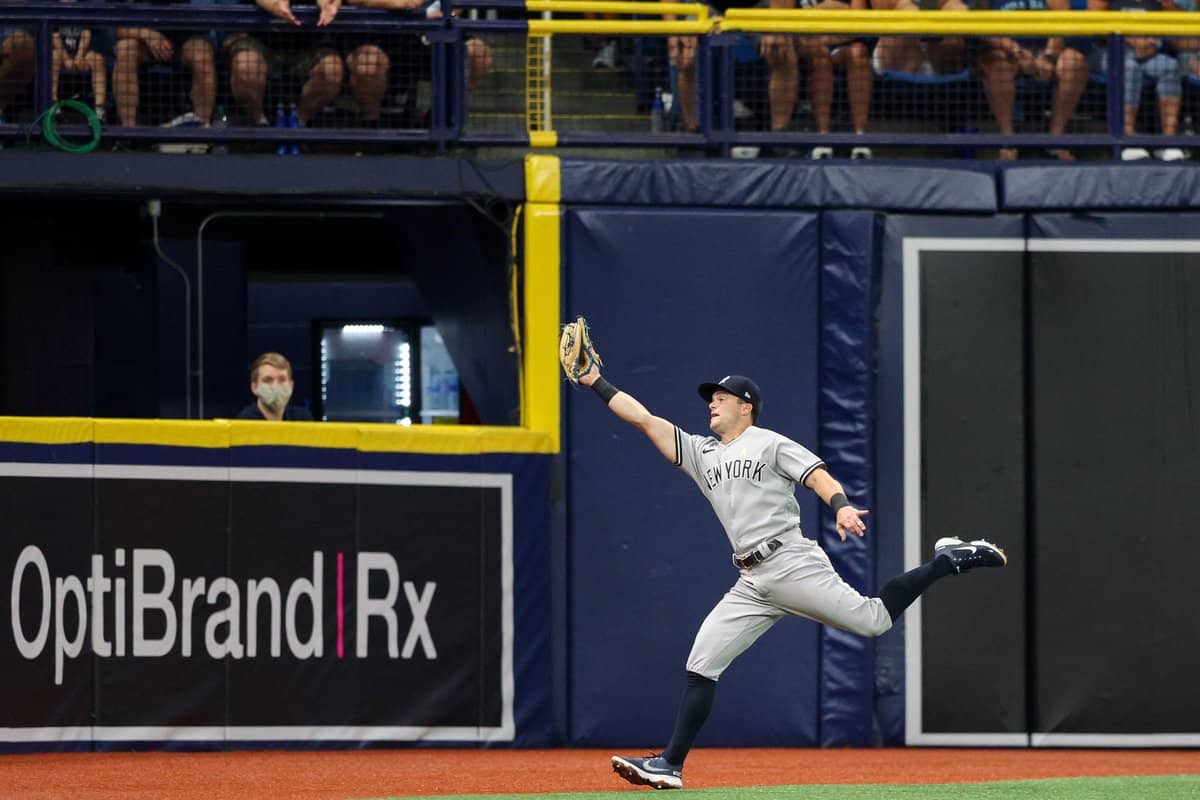 Sep 2, 2022; St. Petersburg, Florida, USA; New York Yankees left fielder Andrew Benintendi (18) makes a leaping catch against the Tampa Bay Rays in the first inning at Tropicana Field. Mandatory Credit: Nathan Ray Seebeck-USA TODAY Sports