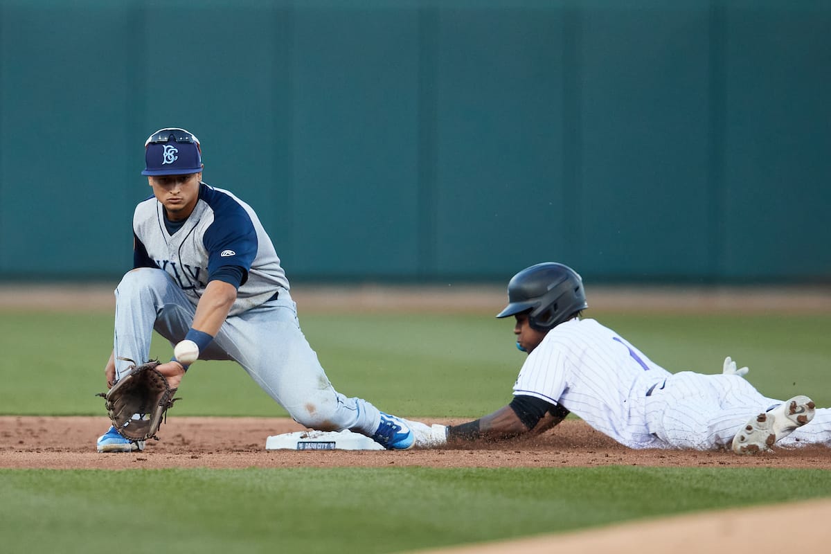 White Sox prospect Terrell Tatum