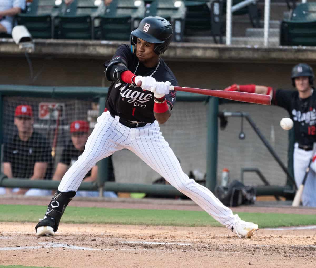 White Sox prospect Terrell Tatum