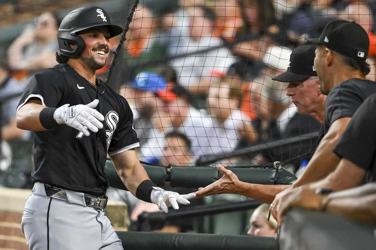 White Sox outfielder Dominic Fletcher