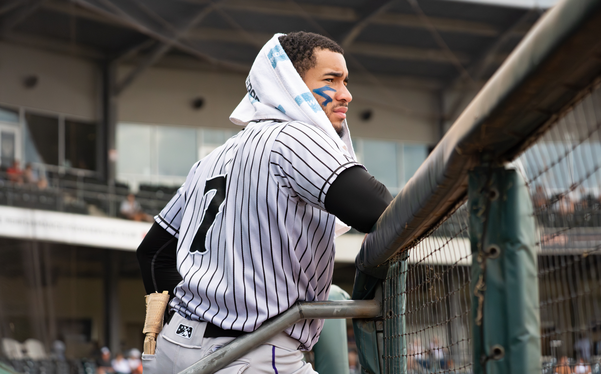 White Sox prospect Jeral Perez
