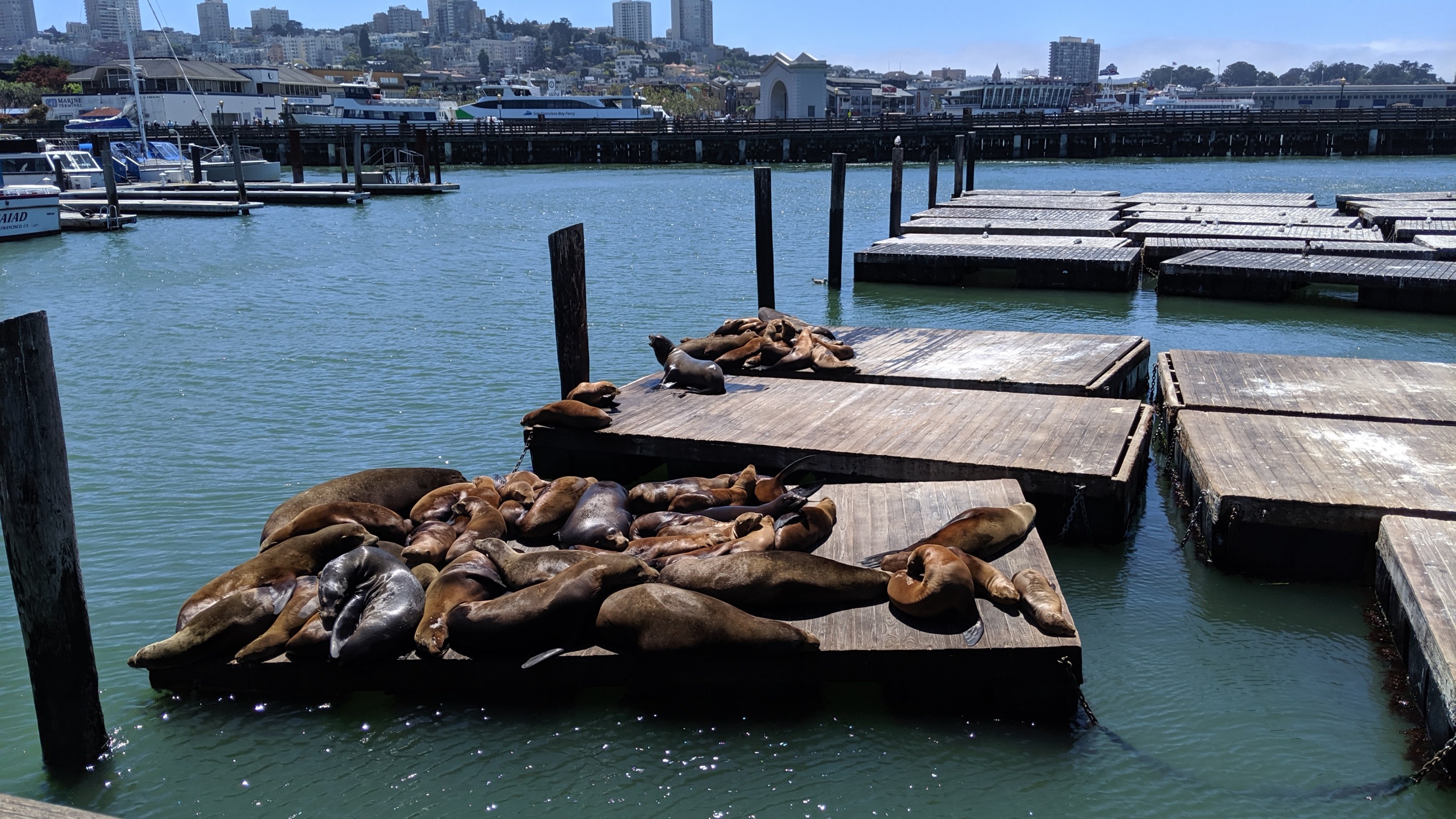 San Francisco