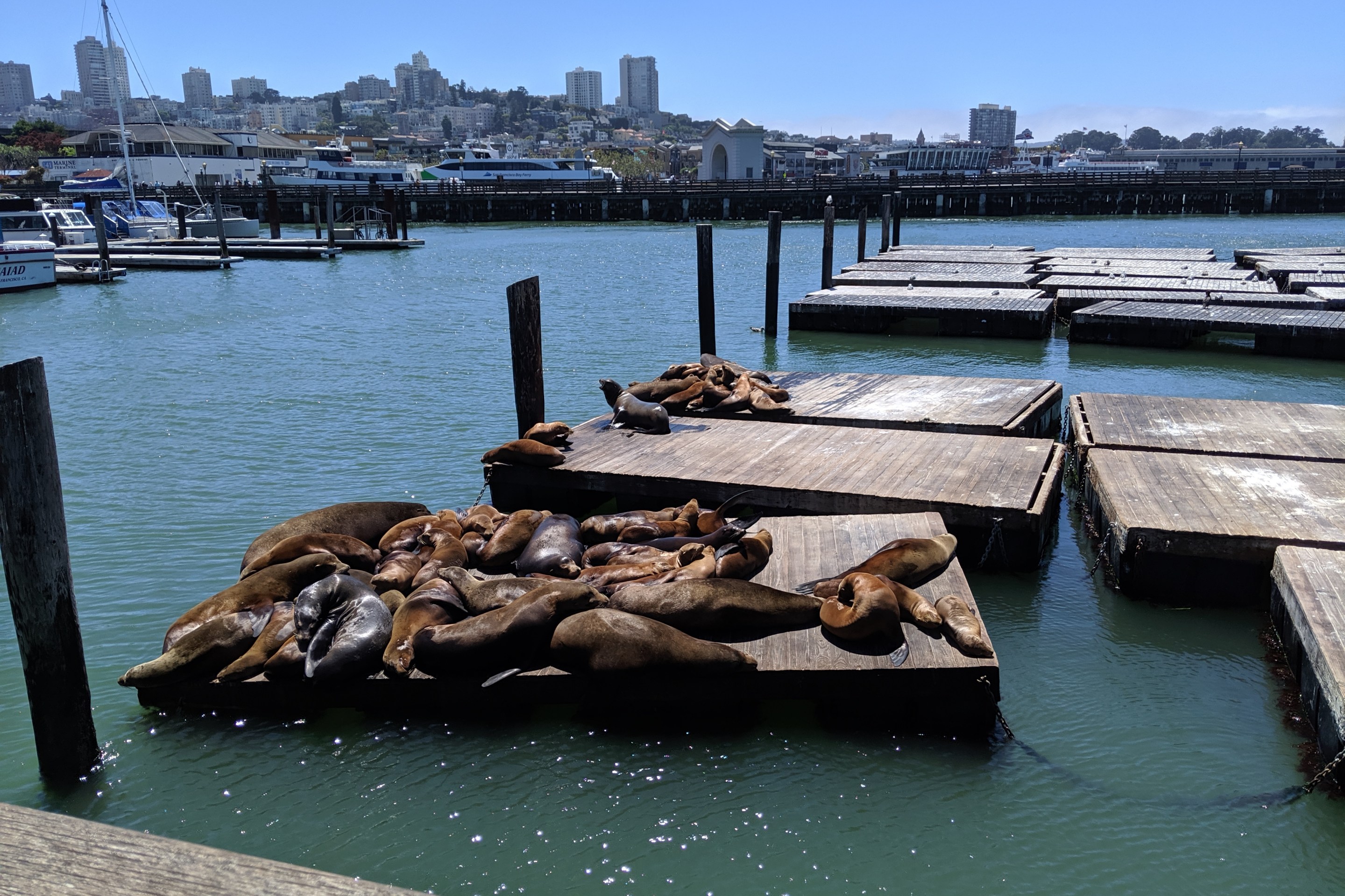 San Francisco