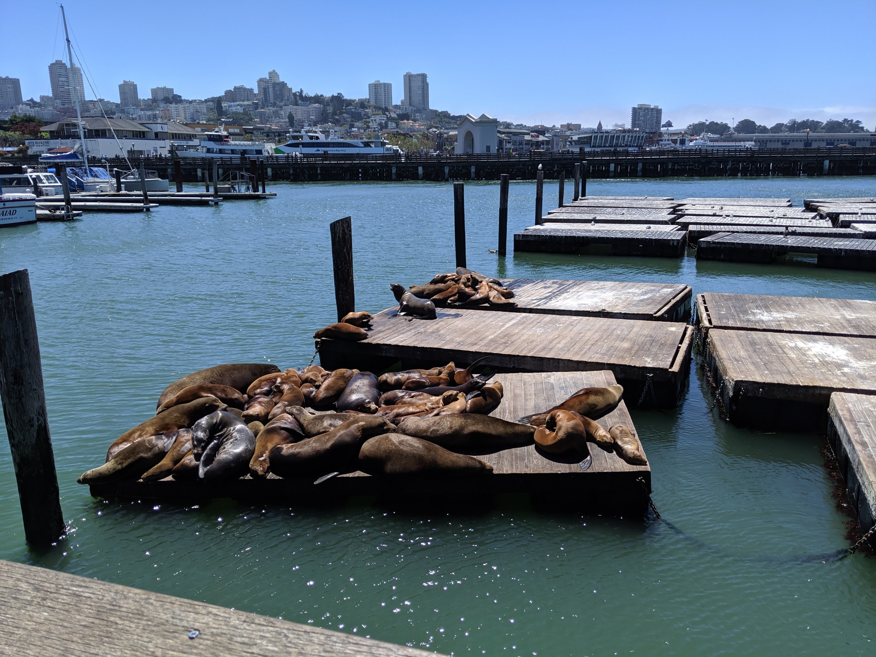 San Francisco